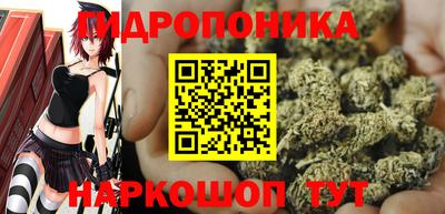 дурь Заводоуковск