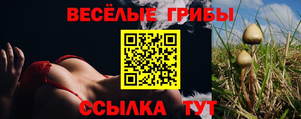 Галлюциногенные грибы мицелий Воркута