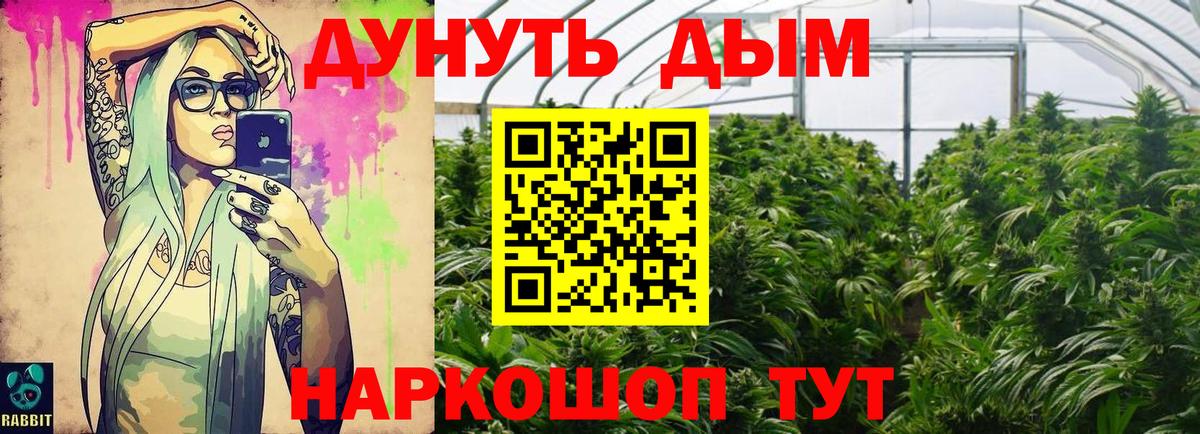 Бошки Шишки семена Воркута